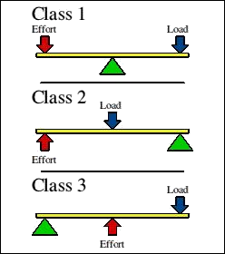 levers