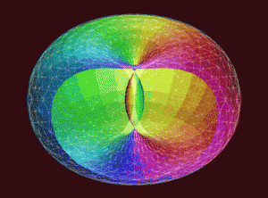 torus1