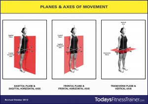 Planes-Axes-of-Movement