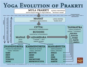 prakrti-cosmogenychartcolor3-lowres