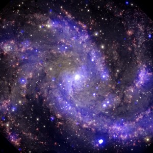 archives_ngc6946