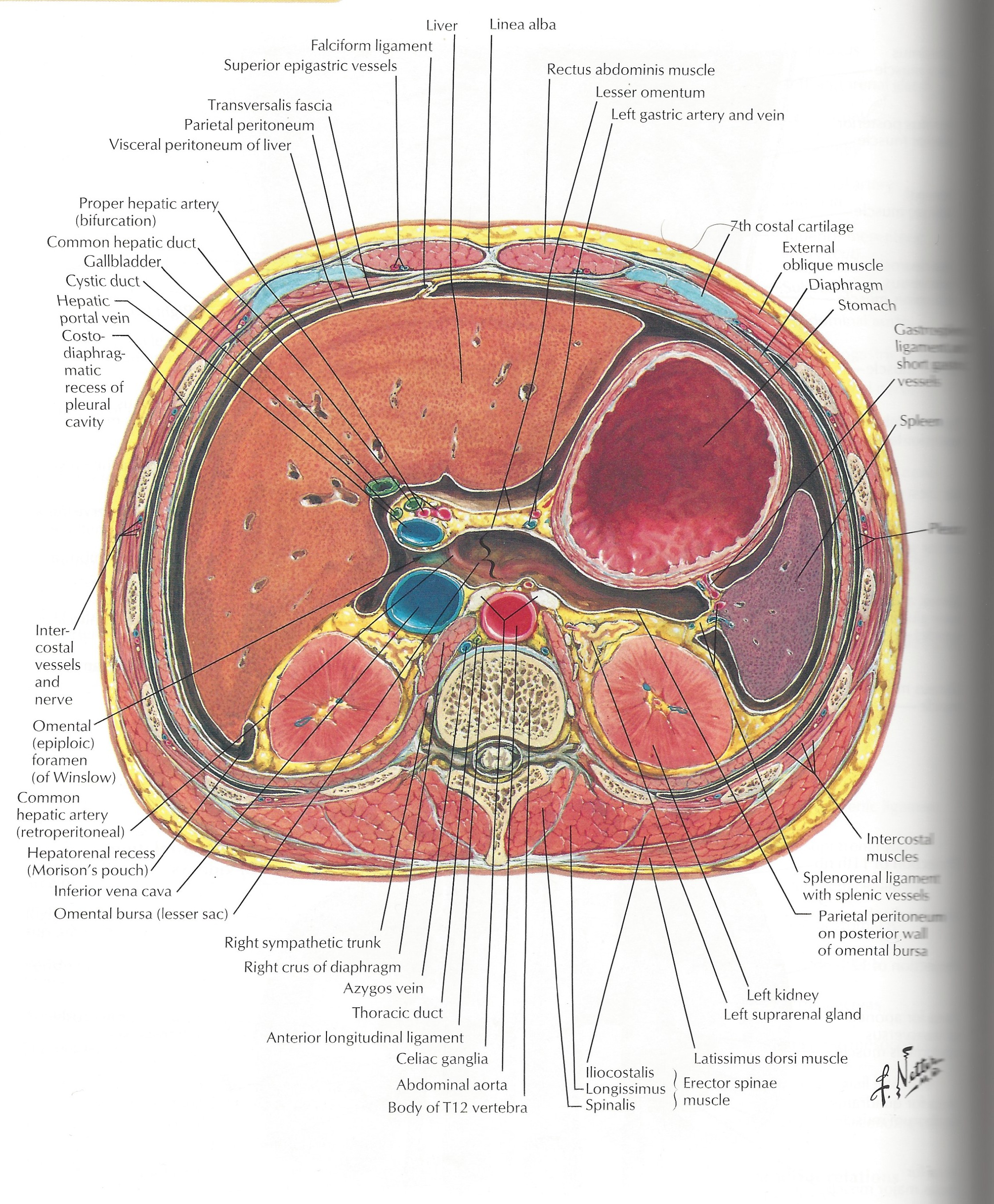 Blog Arthur Kilmurray Explorations in Yoga, the ReAwakening of the
