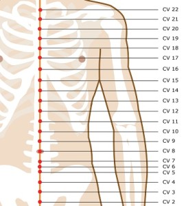 acupuncture-meridian-conception-vessel