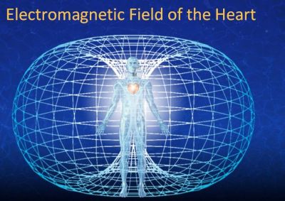 toroidal field